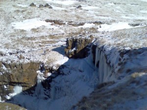 Bokong.Siberian Enema  (1) (Small)
