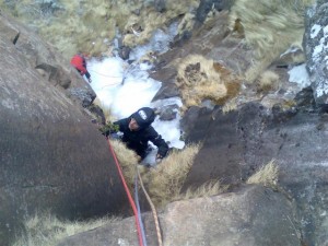 Cesar seconding Split Bananas rcok section F2