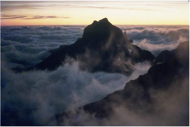 At sunrise, in the mist.