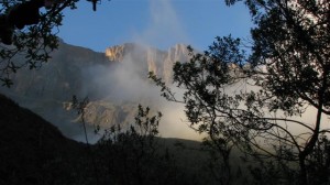 Drakensberg View