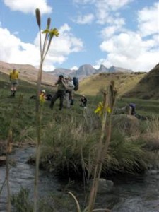Have a break at a fresh water stream.