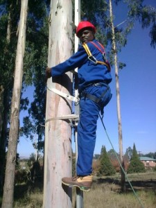 Tree climb ladder