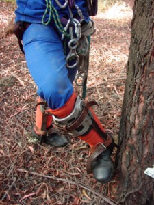 Tree climb spikes