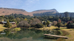 Read more about the article Dargle Mountain